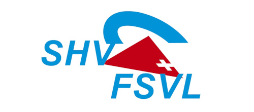 FSVL Logo